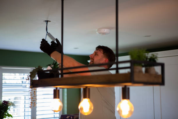 Best Outdoor Lighting Installation  in Brandon, FL